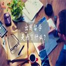 为什么出国留学?这是我见到的最好答案
