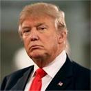 数据解读丨特朗普真的只会“推特治国”吗？